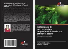 Copertina di Isolamento di microrganismi degradanti il fenolo da effluenti tessili