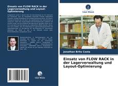 Copertina di Einsatz von FLOW RACK in der Lagerverwaltung und Layout-Optimierung