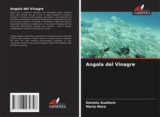 Borítókép a  Angola del Vinagre - hoz