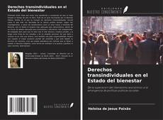 Bookcover of Derechos transindividuales en el Estado del bienestar