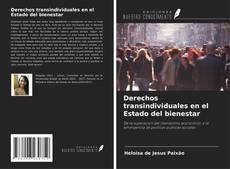 Buchcover von Derechos transindividuales en el Estado del bienestar