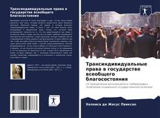 Buchcover von Трансиндивидуальные права в государстве всеобщего благосостояния