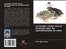 Bookcover of Le lactate comme source d'énergie pour les spermatozoïdes de caille