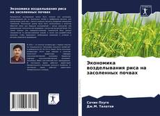 Capa do livro de Экономика возделывания риса на засоленных почвах 