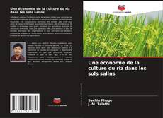 Portada del libro de Une économie de la culture du riz dans les sols salins