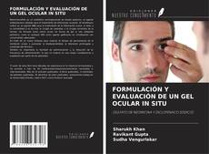 FORMULACIÓN Y EVALUACIÓN DE UN GEL OCULAR IN SITU kitap kapağı