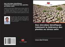 Couverture de Des microbes bénéfiques induisent la tolérance des plantes au stress salin