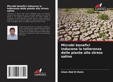 Microbi benefici inducono la tolleranza delle piante allo stress salino kitap kapağı
