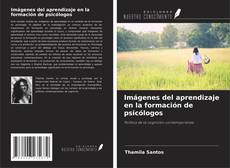 Copertina di Imágenes del aprendizaje en la formación de psicólogos