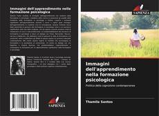 Borítókép a  Immagini dell'apprendimento nella formazione psicologica - hoz