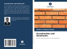 Bookcover of Grundrechte und Strafrecht: