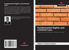 Couverture de Fundamental Rights and Criminal Law: