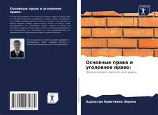 Bookcover of Основные права и уголовное право: