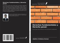 Derechos fundamentales y Derecho penal: kitap kapağı