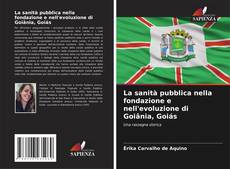 Borítókép a  La sanità pubblica nella fondazione e nell'evoluzione di Goiânia, Goiás - hoz