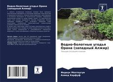 Bookcover of Водно-болотные угодья Орана (западный Алжир)