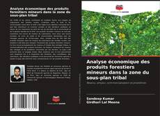 Buchcover von Analyse économique des produits forestiers mineurs dans la zone du sous-plan tribal