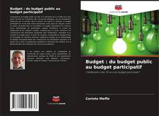 Buchcover von Budget : du budget public au budget participatif