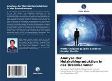 Bookcover of Analyse der Holzkohleproduktion in der Brennkammer