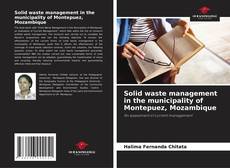 Buchcover von Solid waste management in the municipality of Montepuez, Mozambique