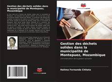 Buchcover von Gestion des déchets solides dans la municipalité de Montepuez, Mozambique