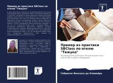 Bookcover of Пример из практики SBClass по отелю "Тижуко"