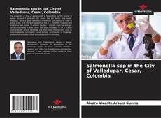 Portada del libro de Salmonella spp in the City of Valledupar, Cesar, Colombia