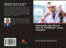 Buchcover von Salmonella spp dans la ville de Valledupar, Cesar, Colombie