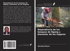 Buchcover von Dependencia de los bosques de Ngong y bienestar de los hogares