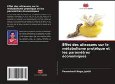 Bookcover of Effet des ultrasons sur le métabolisme protéique et les paramètres économiques