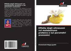 Bookcover of Effetto degli ultrasuoni sul metabolismo proteico e sui parametri economici