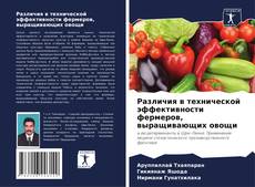 Buchcover von Различия в технической эффективности фермеров, выращивающих овощи