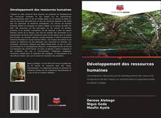 Développement des ressources humaines kitap kapağı