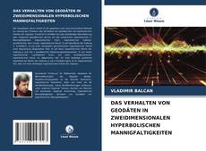 Bookcover of DAS VERHALTEN VON GEODÄTEN IN ZWEIDIMENSIONALEN HYPERBOLISCHEN MANNIGFALTIGKEITEN