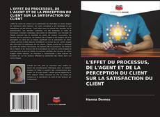 Buchcover von L'EFFET DU PROCESSUS, DE L'AGENT ET DE LA PERCEPTION DU CLIENT SUR LA SATISFACTION DU CLIENT