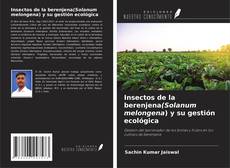 Обложка Insectos de la berenjena(Solanum melongena) y su gestión ecológica