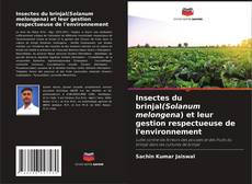 Capa do livro de Insectes du brinjal(Solanum melongena) et leur gestion respectueuse de l'environnement 