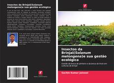 Insectos da Brinjal(Solanum melongena)e sua gestão ecológica的封面