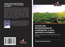 Обложка Insetti del Brinjal(Solanum melongena) e loro gestione ecologica