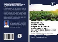 Capa do livro de Насекомые, поражающие бринжал(Solanum melongena), и их экологически безопасная борьба 