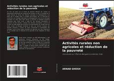 Activités rurales non agricoles et réduction de la pauvreté kitap kapağı
