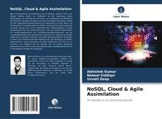 NoSQL, Cloud & Agile Assimilation的封面