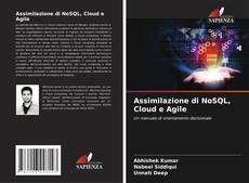 Buchcover von Assimilazione di NoSQL, Cloud e Agile