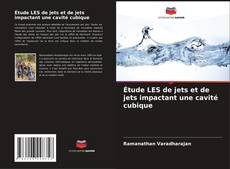 Bookcover of Étude LES de jets et de jets impactant une cavité cubique