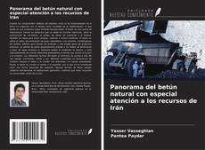 Portada del libro de Panorama del betún natural con especial atención a los recursos de Irán