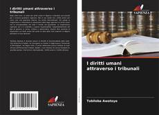 Capa do livro de I diritti umani attraverso i tribunali 