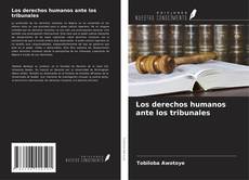 Buchcover von Los derechos humanos ante los tribunales