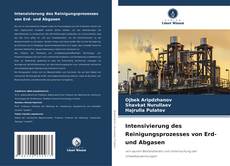 Bookcover of Intensivierung des Reinigungsprozesses von Erd- und Abgasen