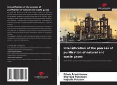Обложка Intensification of the process of purification of natural and waste gases