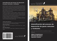 Intensificación del proceso de depuración de gases naturales y residuales的封面